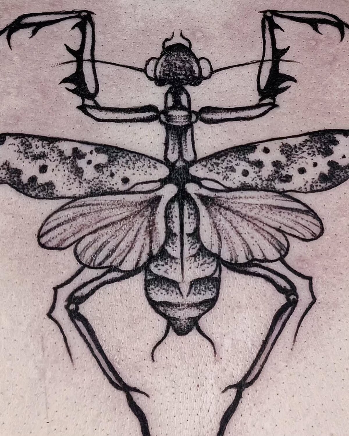 Tatouage blackwork d'une mante en dotwork